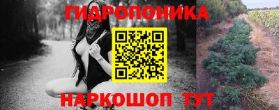 шишки Малоярославец